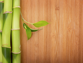 Bamboo Flooring image